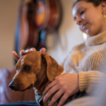 Emma shares 7 checks you should do on your dog at home and why