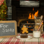 Why tinsel and other Christmas favourites are harmful to pets