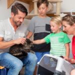 Thinking of adopting a new feline friend in 2024?