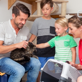Thinking of adopting a new feline friend in 2024?