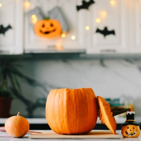 Try These Pumpkin Dog Treats from Travel Vet