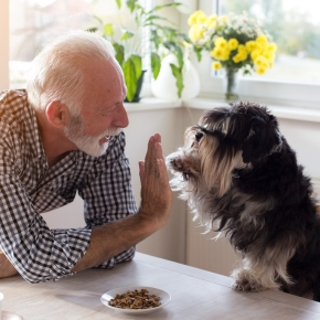 Time-Crunched? Easy Ways to Enrich Your Dog’s Life