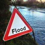 Flood Safety Tips For Pets: Create A Reliable Evacuation Plan