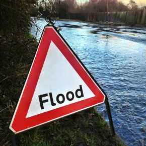 Flood Safety Tips For Pets: Create A Reliable Evacuation Plan