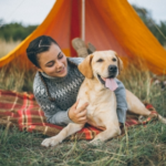 New Year Bucket List Adventures for Dogs in Middlesex