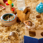 Love it or List it on eBay? Travel Vet Has Advice for Small Pet Housing