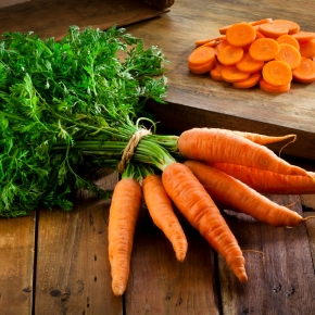 Emma Breaks Down Carrots – Dental Hero or Just A Snack?