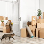 Top Tips for Moving House with Pets