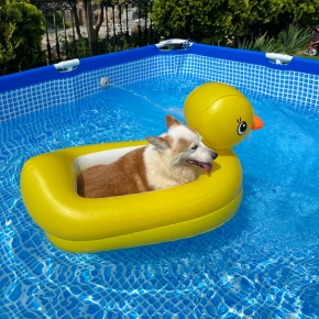 Summer Pet Water-Safety Tips from our Vet Emma Fisher