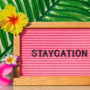 Enjoy Summer at Home with Your Pet in Middlesex