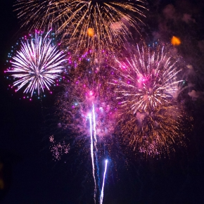 Pet Calming Tips for Firework Season