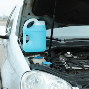 Key Signs of Antifreeze Poisoning from Our Vets in Staines-upon-Thames