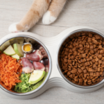 Summer Bodies: Why A Pet’s Weight Matters in the Heat