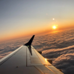 Flying with Pets from the UK Explained By Travel Vet